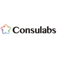 Consulabs S.r.l. logo - Similar company to Stone Digital