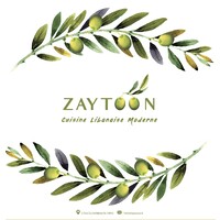Zaytoon logo - Similar company to Flinto
