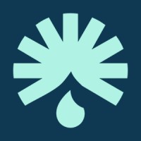 Hempo Solutions logo - Similar company to Nectar Laboratories Ltd