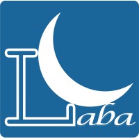 LABA - IT Training Center logo - Similar company to Cube Technologies Pvt. Ltd.