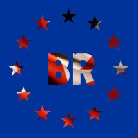 Brexit What Next logo - Similar company to Association Jean Monnet