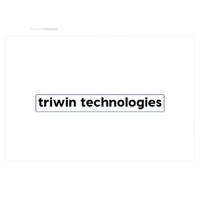 Triwin Technologies logo - Similar company to Devzit