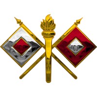 Signal Corps Regimental Association - Striker Chapter (Tampa) logo - Similar company to Data Mining Research Lab