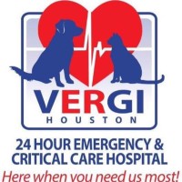 Vergi 24/7 Animal Emergency and Critical Care Hospital logo - Similar company to Lucid Services