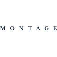 MONTAGE logo - Similar company to Ideasicle X