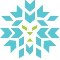 Dream Leo Web Solution logo - Similar company to Infozeal Solutions