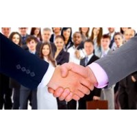 Drumwood Consulting