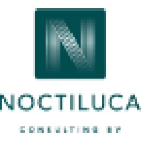 Noctiluca Consulting B.V.