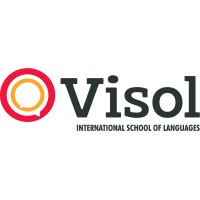 Visol logo - Similar company to Cinescript Translations