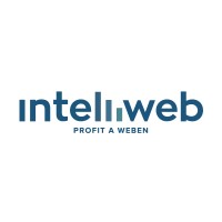 Intelliweb Kft. logo - Similar company to Intelliwebi Co.Ltd