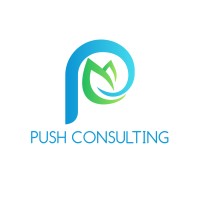 PUSH Ltd logo - Similar company to Adrian Christophe Consulting