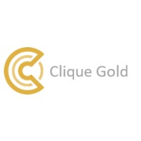 Clique Gold LLC logo - Similar company to Proex Consult
