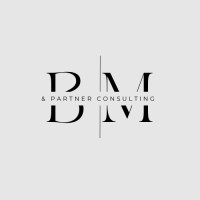 BM & Partner Consulting logo - Similar company to Sesemann Consulting Gmbh