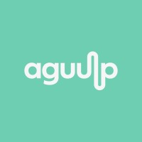 aguulp logo - Similar company to Borium Studio Limited