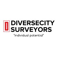 DiverseCity Surveyors logo - Similar company to Ai-Qs