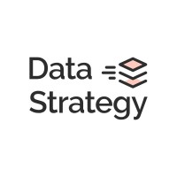 Data Strategy logo - Similar company to Data Strategy