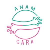 anamcara- Unleashing potential logo - Similar company to Edlern