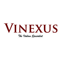 Vinexus LTD logo - Similar company to Puck Studio