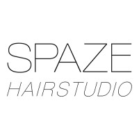 SPAZE Hairstudio Zürich logo - Similar company to Blue Box Distribution Ag