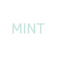 Design Studio MINT logo - Similar company to Darvage