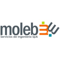 Moleb logo - Similar company to Datafy