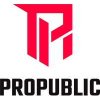 Propublic logo - Similar company to Atn Unlimited