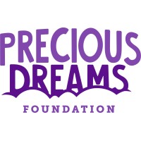 Precious Dreams Foundation logo - Similar company to Howtospenditethically.Org