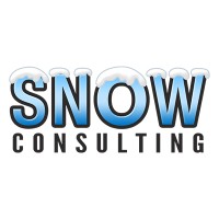 Snow Consulting logo - Similar company to Gogab