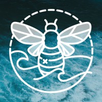 Cb Designs
