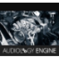 Audiology Engine logo - Similar company to Premier Hearing