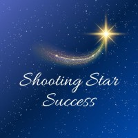 Shooting Star Success logo - Similar company to Ykp Connect