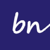 BNagib Consultoria Empresarial logo - Similar company to Rlconsultoria