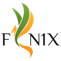 FN1X Limited logo - Similar company to Bitit