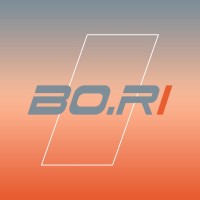 BO.RI logo - Similar company to Contec | Quality First