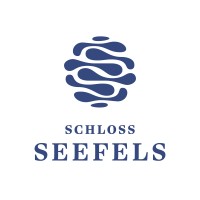 Hotel Schloss Seefels HEMASI Hotelbetriebs GmbH logo - Similar company to Eriro Alpine Hide