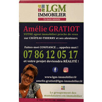Amélie LGM IMMOBILIER logo - Similar company to Py33
