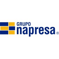 Grupo Napresa SA de CV logo - Similar company to Viprocosa