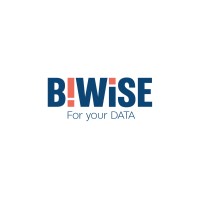 BIWISE logo - Similar company to Biwise Ltda