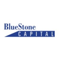 BlueStone Capital Partners (UK) Ltd. logo - Similar company to Equator Venture Partners