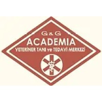 G&G Academia
