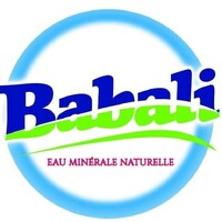 Babali BF logo - Similar company to Sn Citec Sa