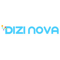 Dizi Nova Limited logo - Similar company to Bangladesh Outsourcing Company