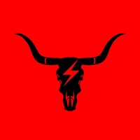Mario and Sons Electric logo - Similar company to Profmeup