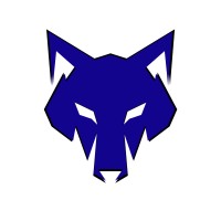 Oxford Soluções Digitais logo - Similar company to Ras Tech Lab