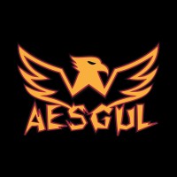 AESGUL logo - Similar company to Asetin
