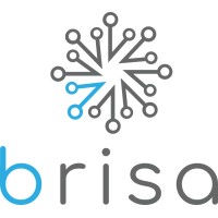 Brisa Robótica logo - Similar company to Axis Robotics