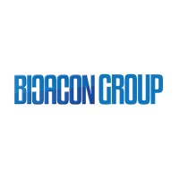 Bicacon Group logo - Similar company to Excite-Data
