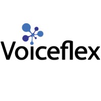 Voiceflex logo - Similar company to Nebula