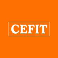 Centro Educativo FIT logo - Similar company to Delve Marketing