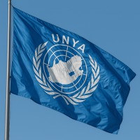 United Nations Youth Association UNYA South Africa logo - Similar company to Labourlaw.Ir